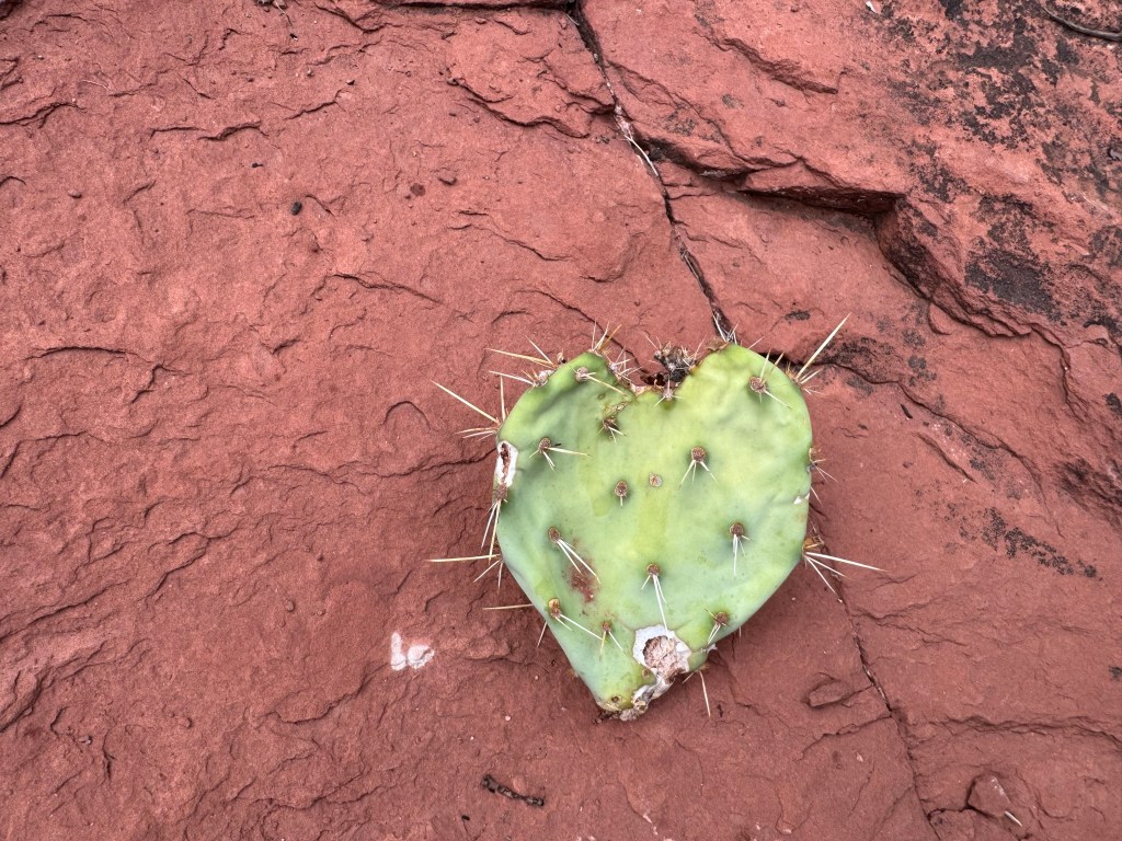 It’s Nice to Meet&nbsp;You!